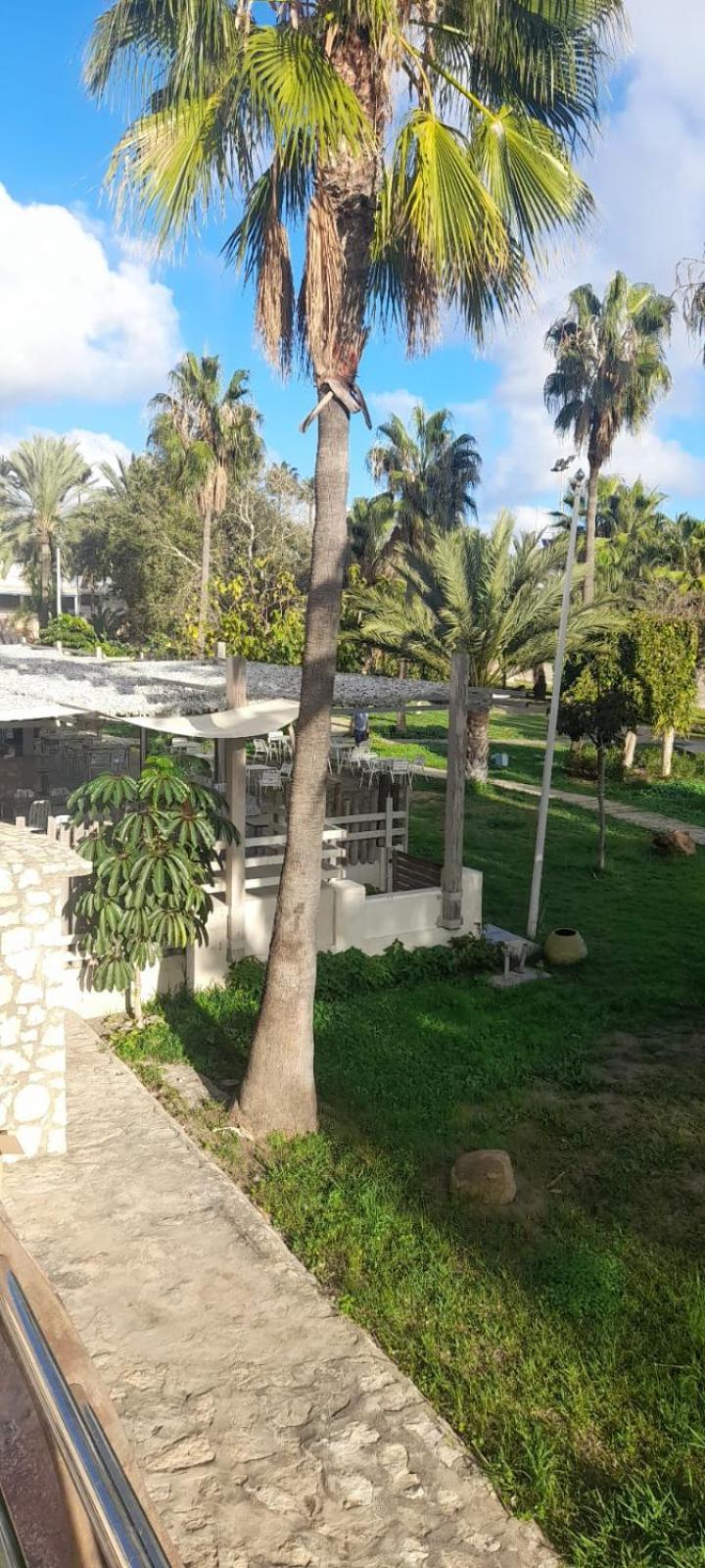 Apartamento Pepita Alay Benalmádena Dış mekan fotoğraf