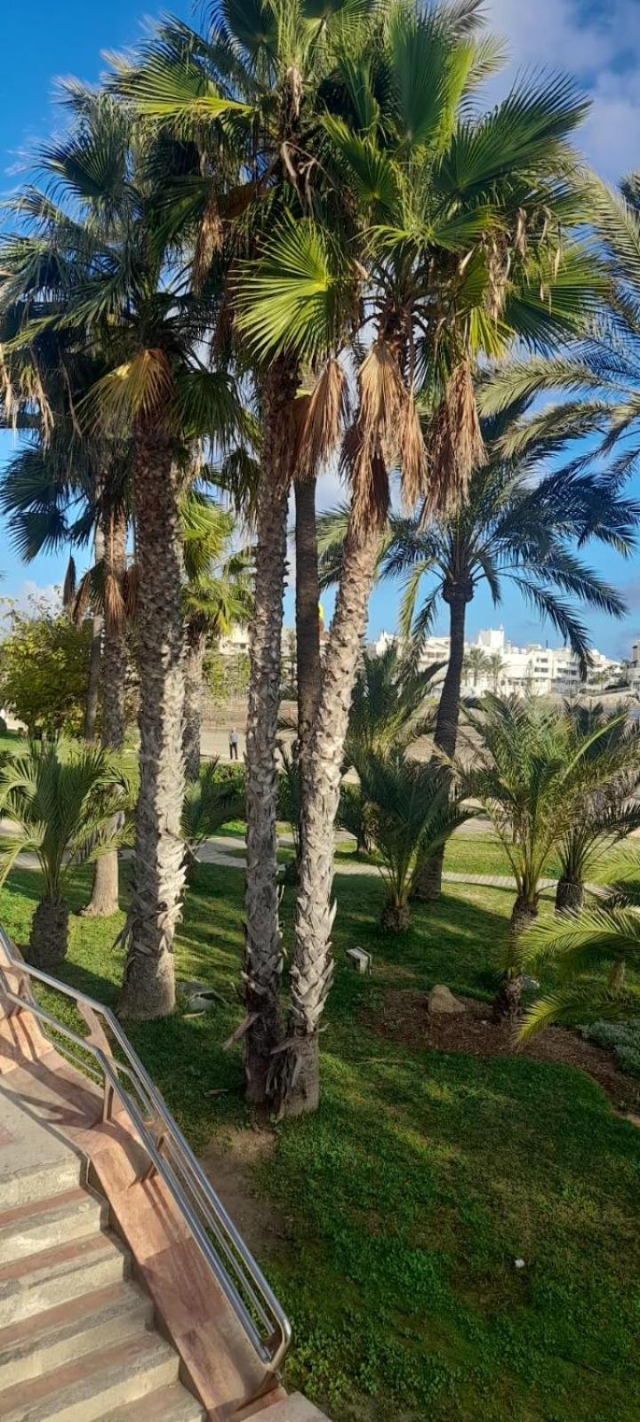 Apartamento Pepita Alay Benalmádena Dış mekan fotoğraf